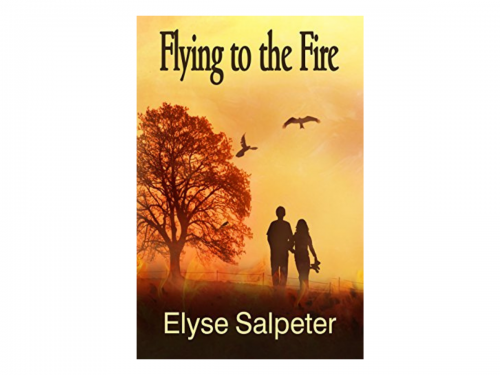 Flying to the Light by Elyse Salpeter