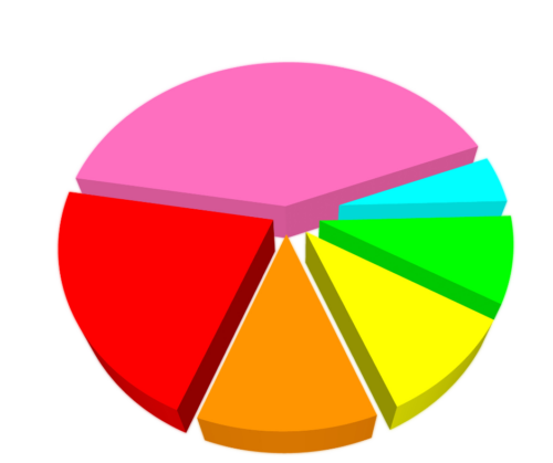 Pie chart with coloured segments